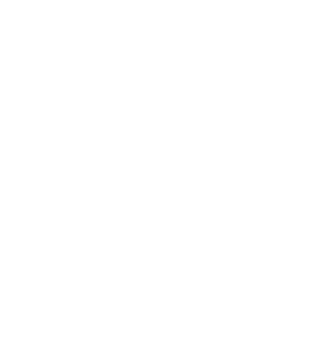 VisionStory