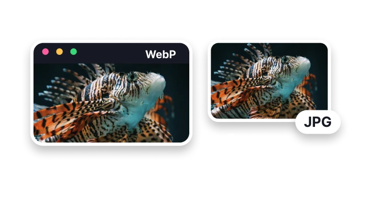 WebP 转 JPG