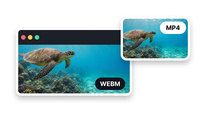 WebM 转 MP4